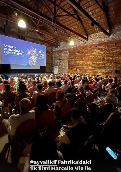 Film Festivali