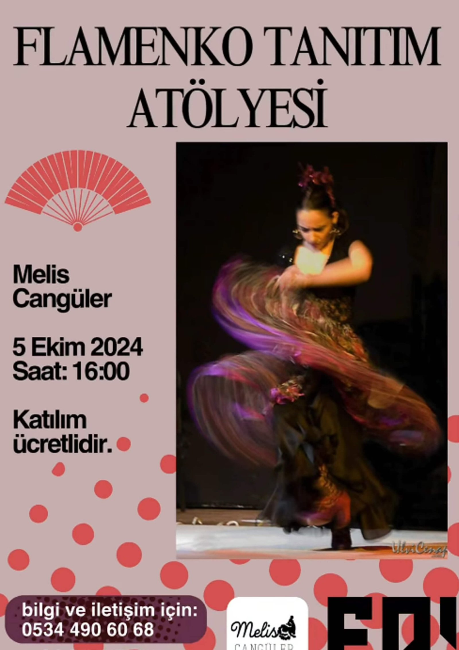 Flamenko Tanıtım Günleri